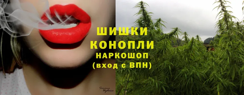 МАРИХУАНА SATIVA & INDICA  сколько стоит  Киров 